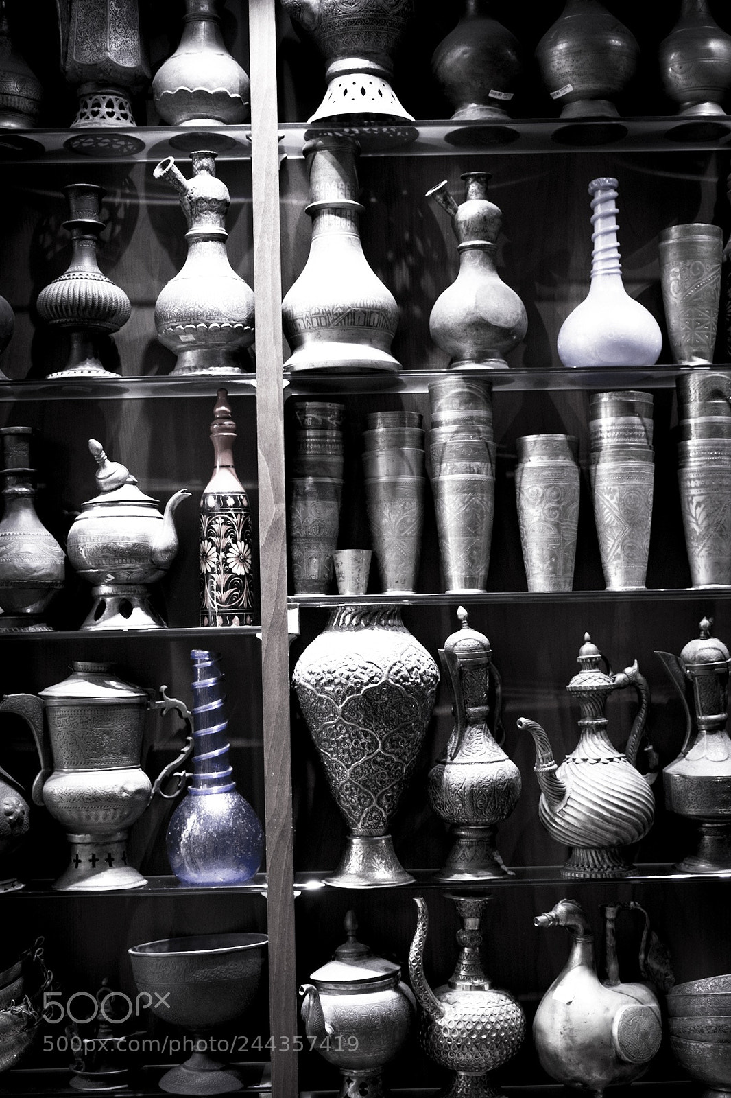 Nikon D500 sample photo. Untitled photography