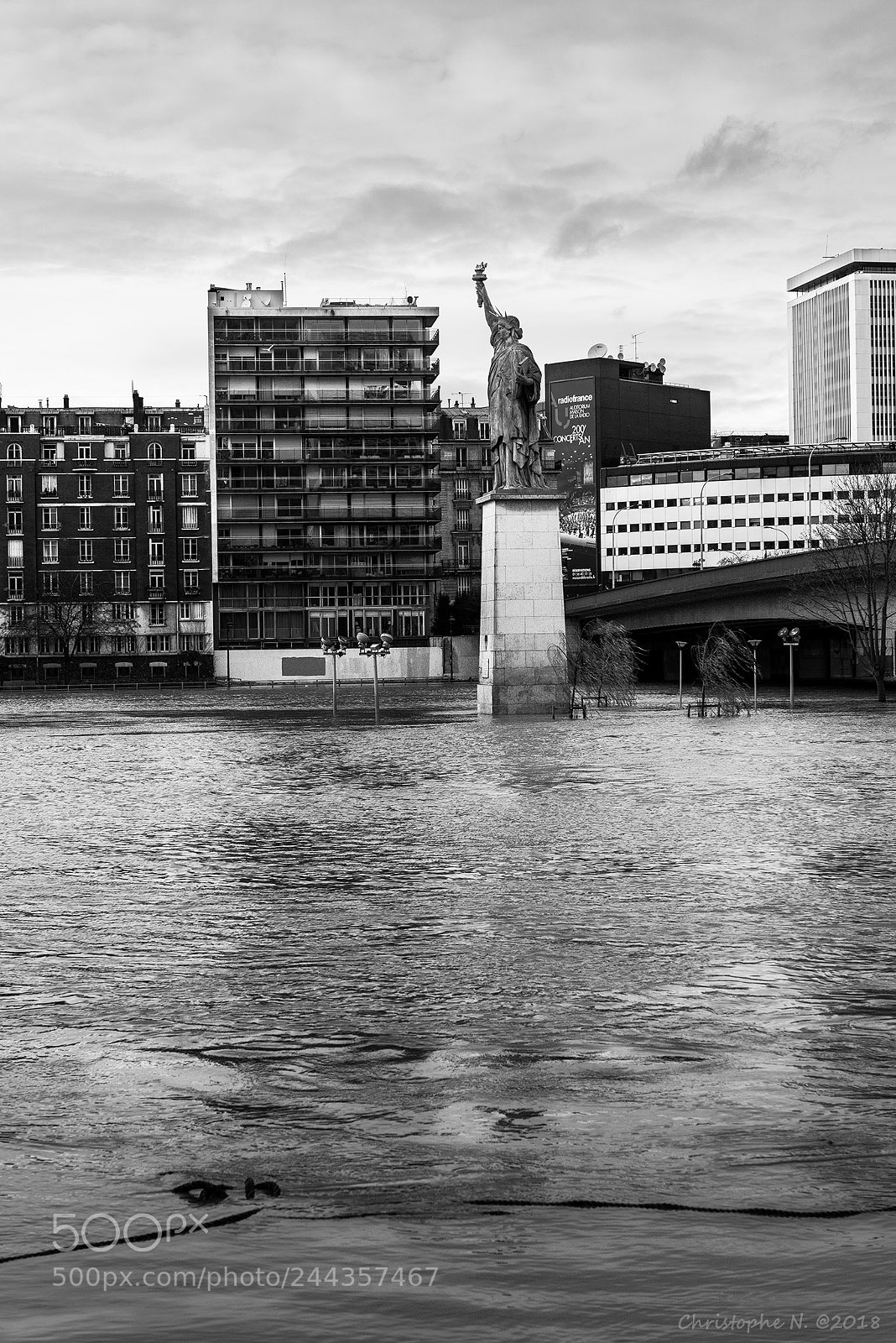 Nikon D810 sample photo. Liberty in danger photography