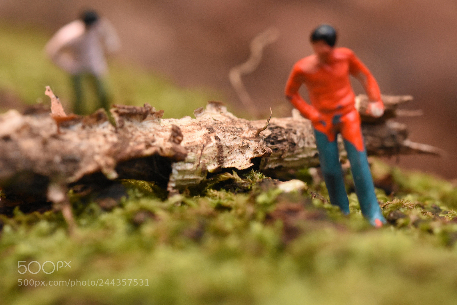 Nikon D7200 sample photo. Hike photography