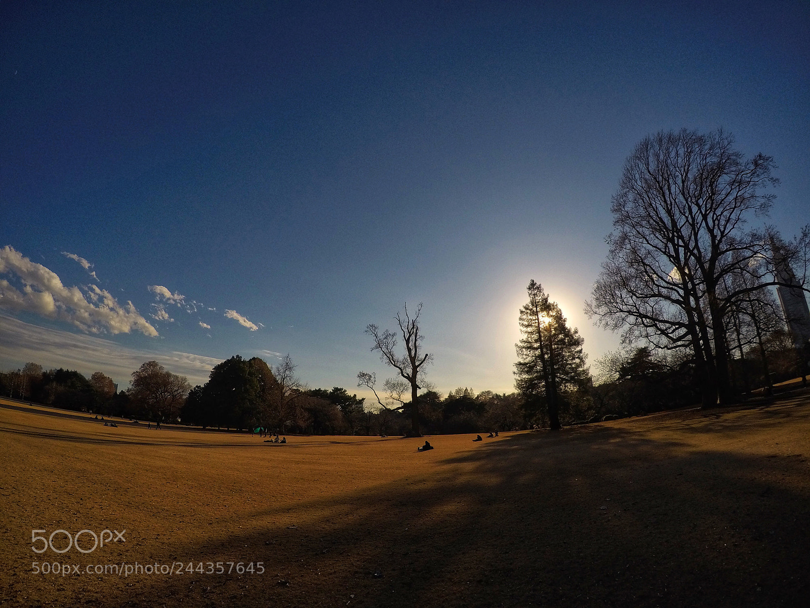GoPro HERO4 Silver sample photo. 树影 the shadow of tree photography