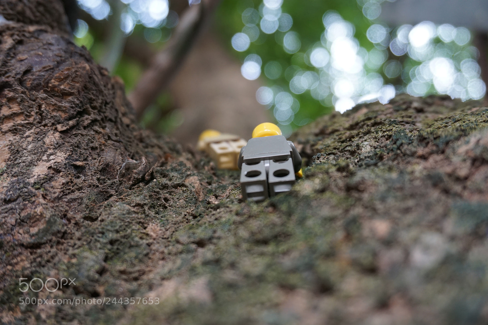 Sony a6000 + Sony E 18-50mm F4-5.6 sample photo. Lego photography