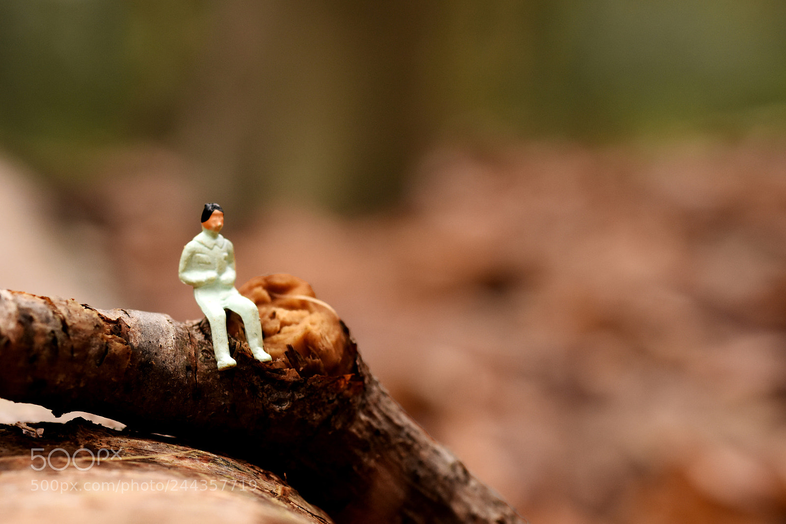 Nikon D7200 sample photo. Waiting photography
