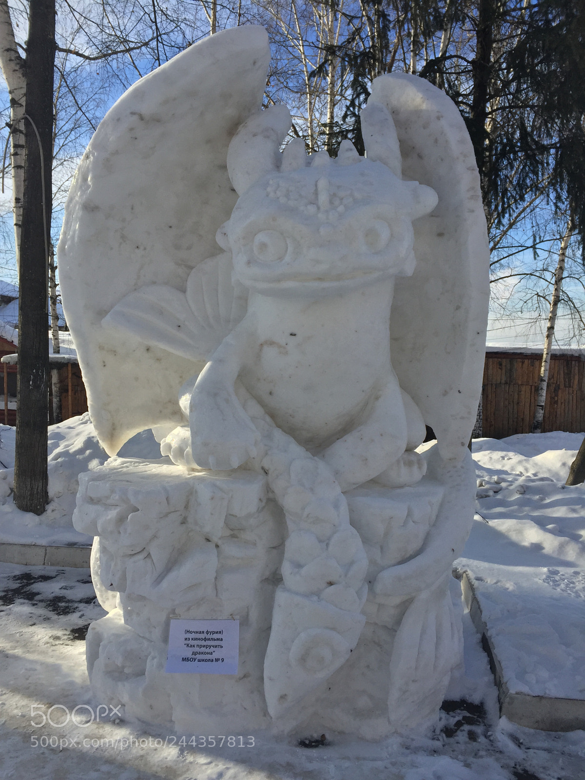 Apple iPhone 6 sample photo. Снежная ночная фурия photography