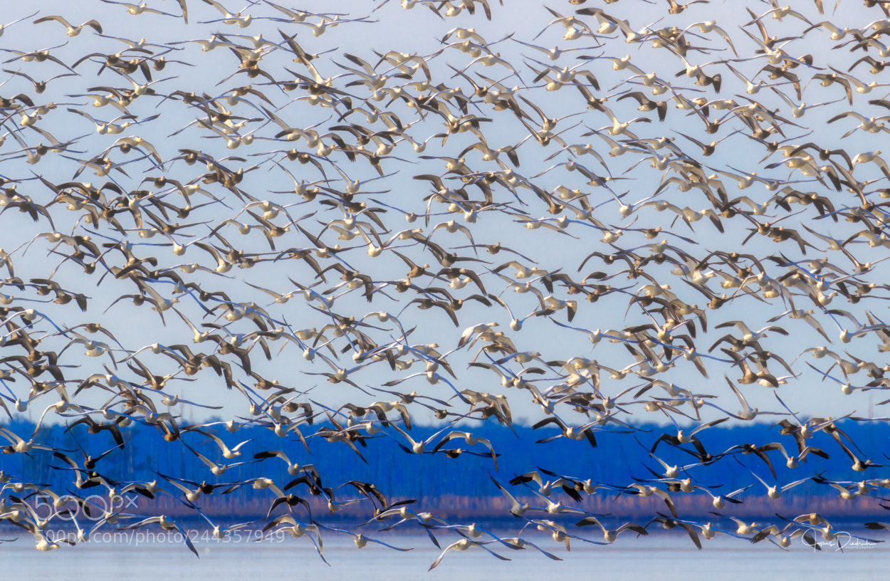 Canon EOS 7D Mark II sample photo. Traffic jam photography