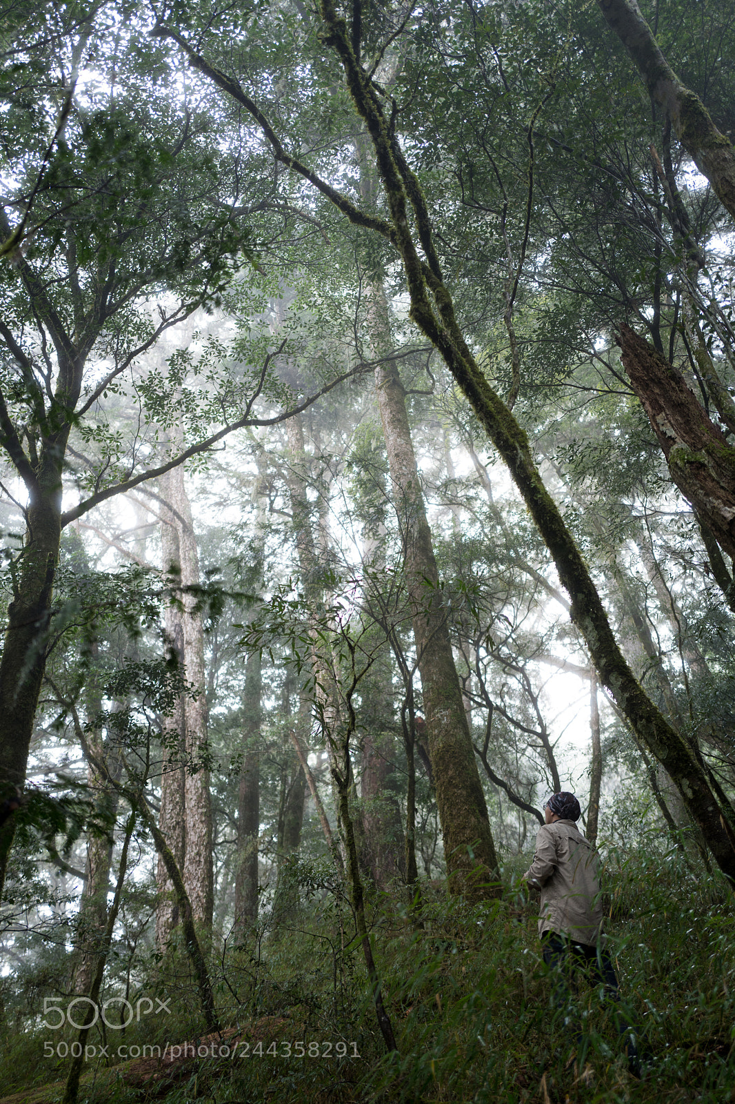 Leica Q (Typ 116) sample photo. Wild photography