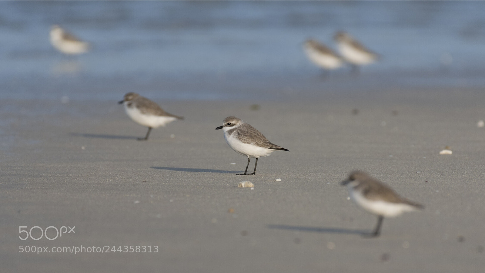 Nikon D500 sample photo. On the beach photography