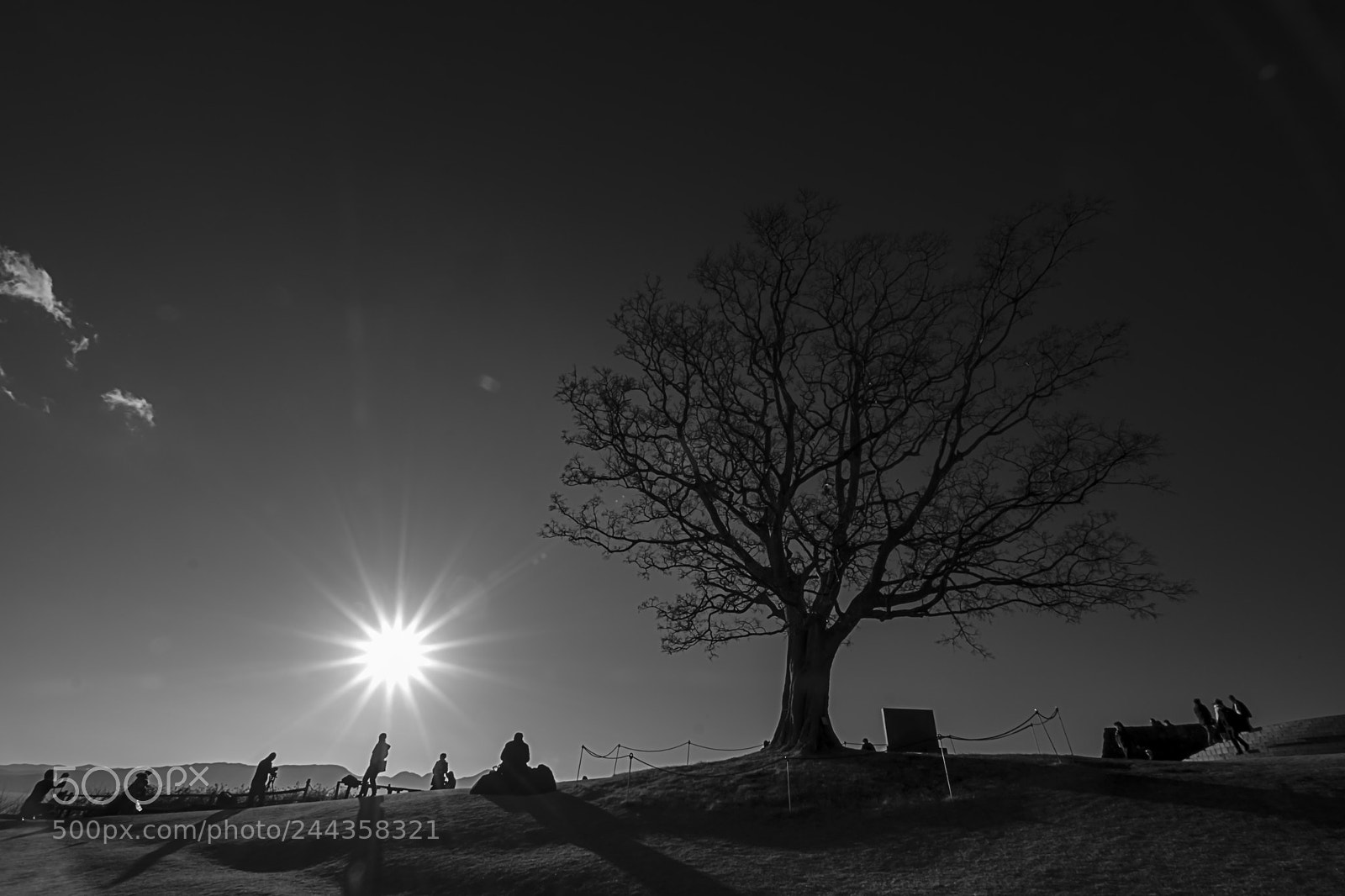 Fujifilm X-Pro2 sample photo. A shaft of light photography