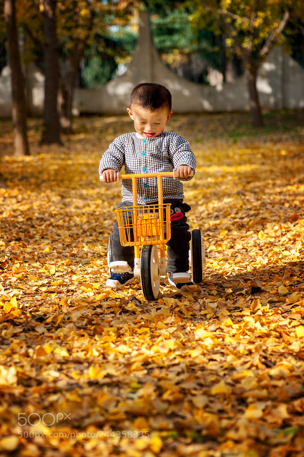 Nikon D700 sample photo. Childhood photography