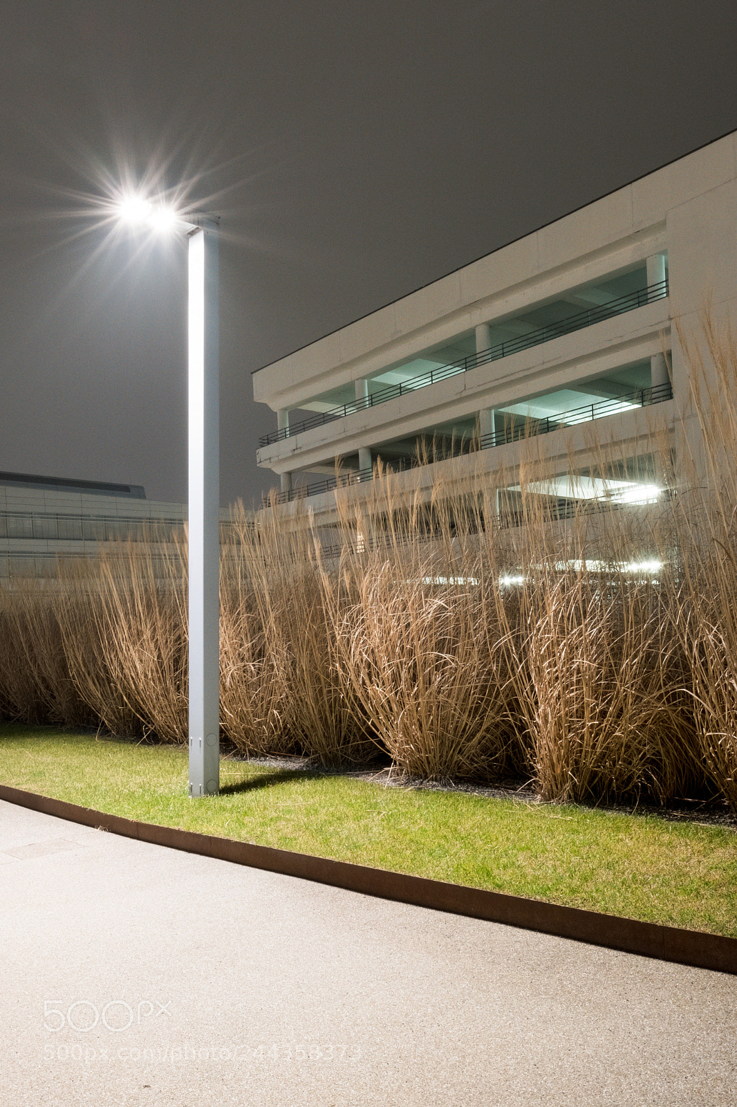 Fujifilm X-T2 sample photo. Good light photography