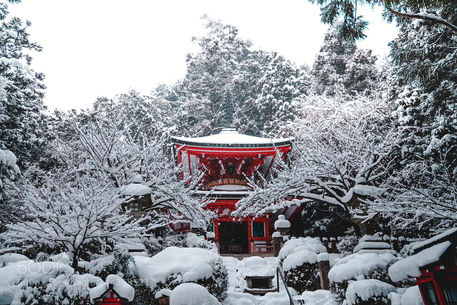 Sony a7R III sample photo. Feel japanism photography