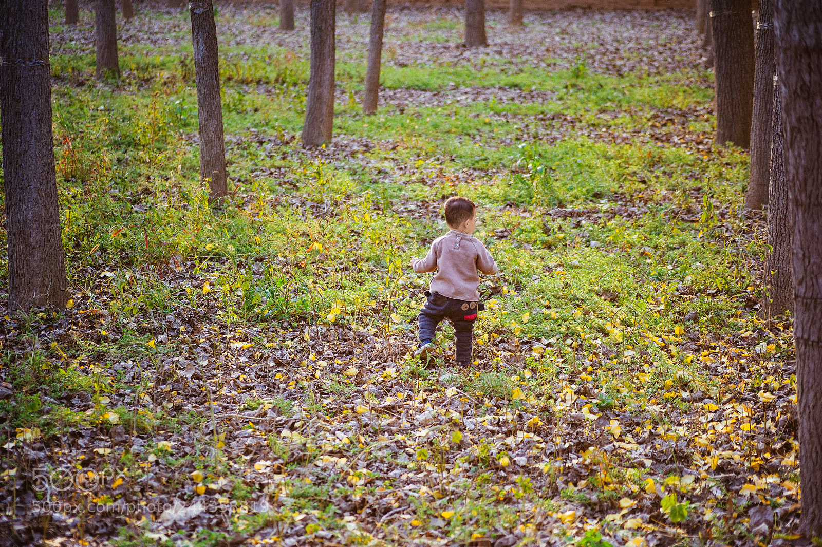 Nikon D700 sample photo. Childhood photography