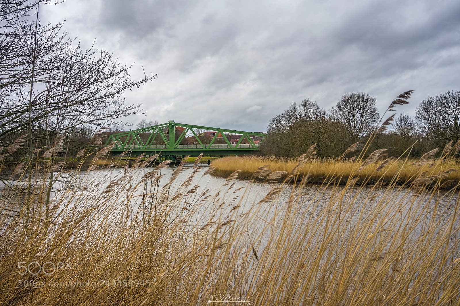Sony a7 II sample photo. Dsc02726-2.jpg photography