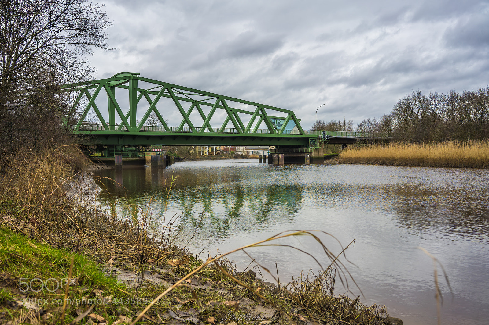 Sony a7 II sample photo. Dsc02716-2.jpg photography