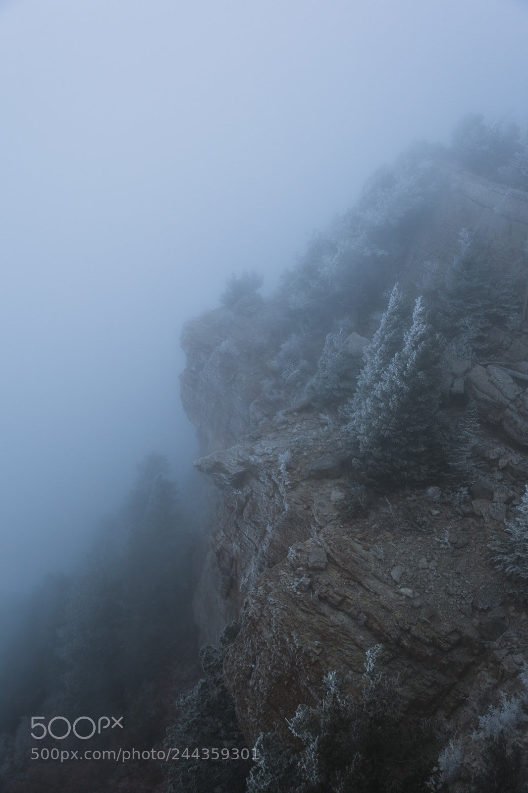 Nikon D5500 sample photo. Dreamy mountain mornings photography