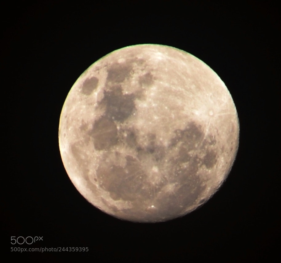 Nikon D3100 sample photo. Moon a night before photography