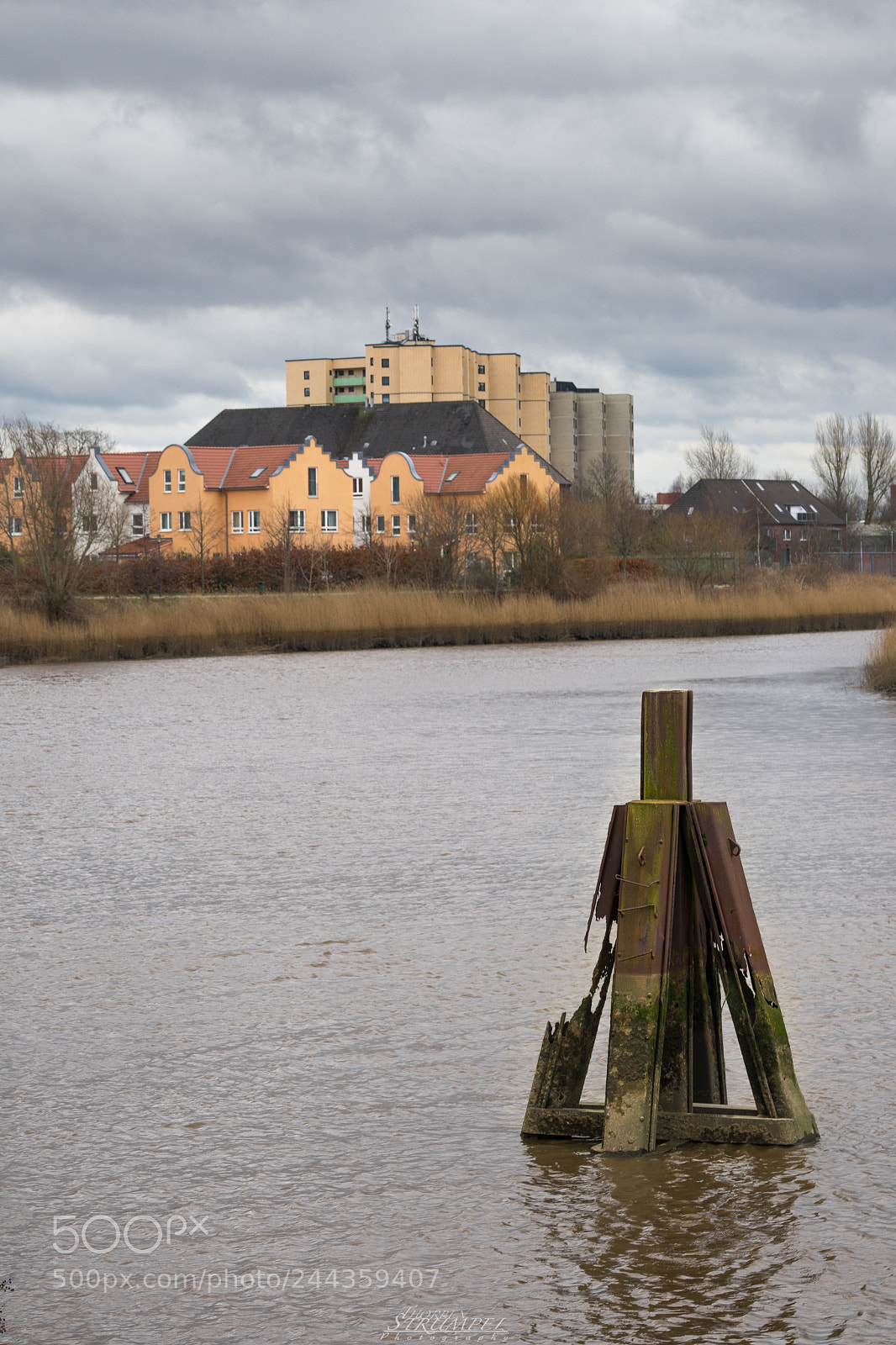 Sony a7 II sample photo. Dsc02731-2.jpg photography