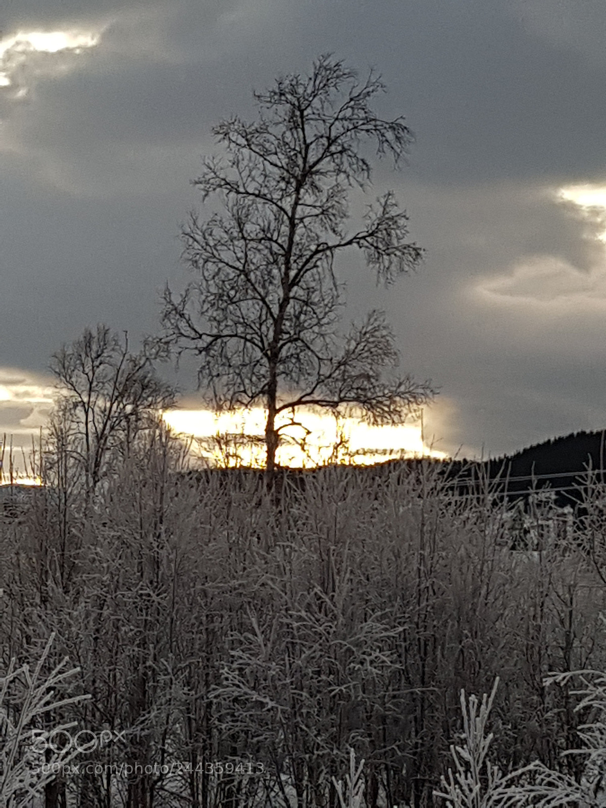 Samsung Galaxy S8 sample photo. The highest photography