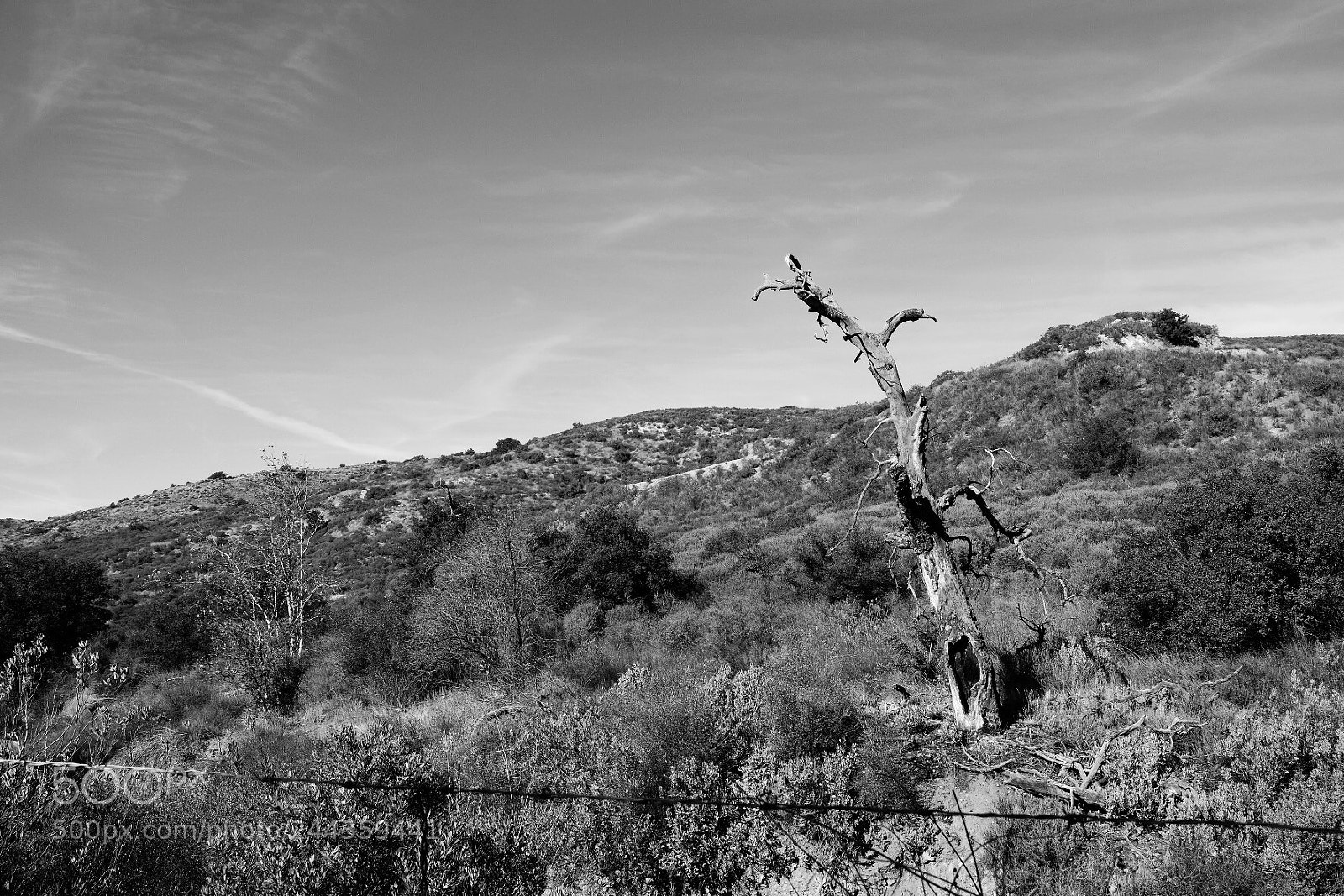 Fujifilm X-E3 sample photo. Black star canyon photography