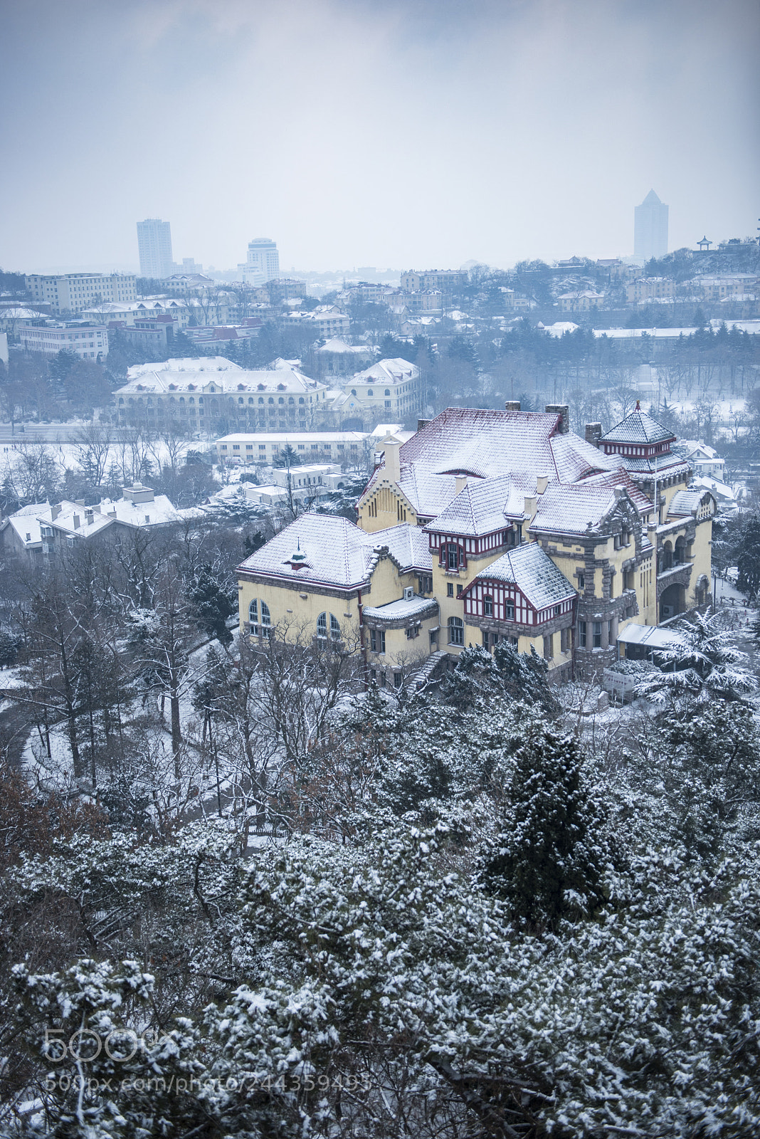 Nikon D800 sample photo. 青岛雪景 photography
