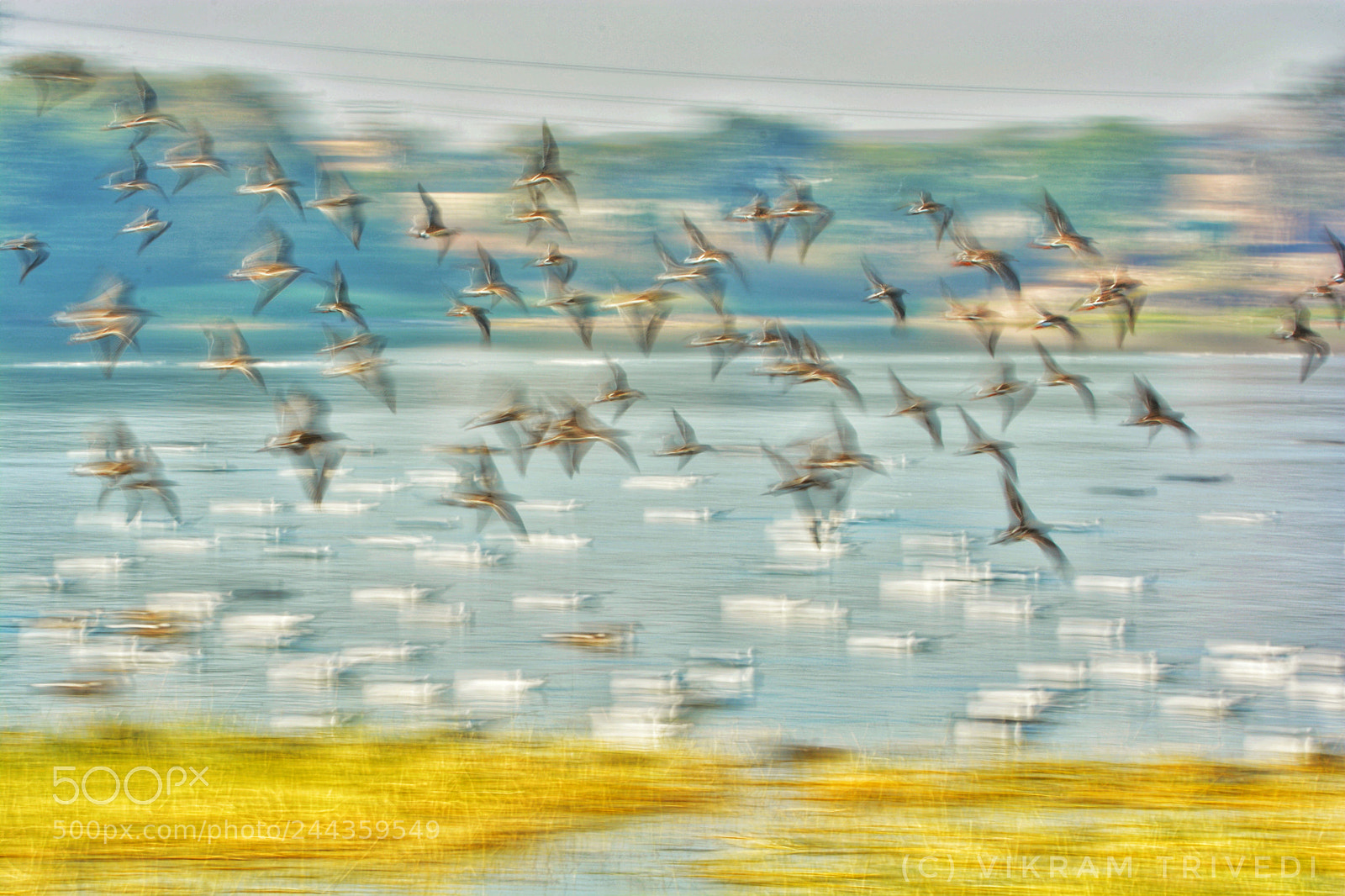 Nikon D7100 sample photo. Speeeedddd photography