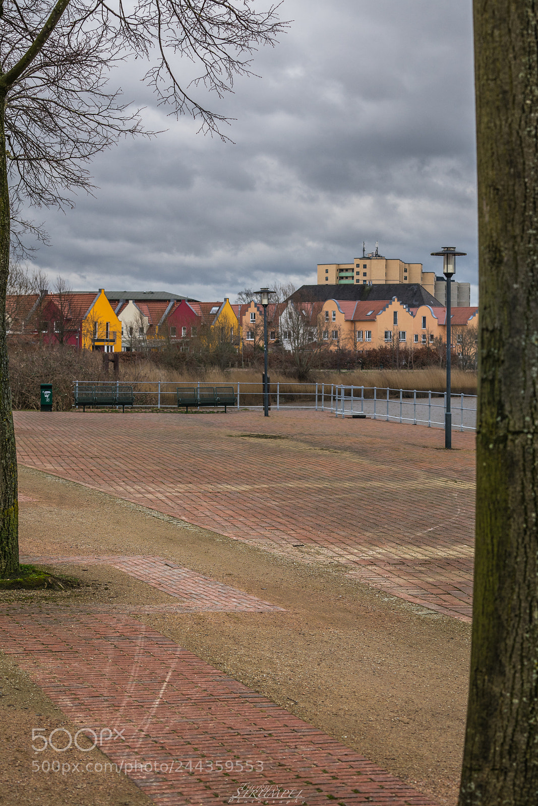 Sony a7 II sample photo. Dsc02739-2.jpg photography