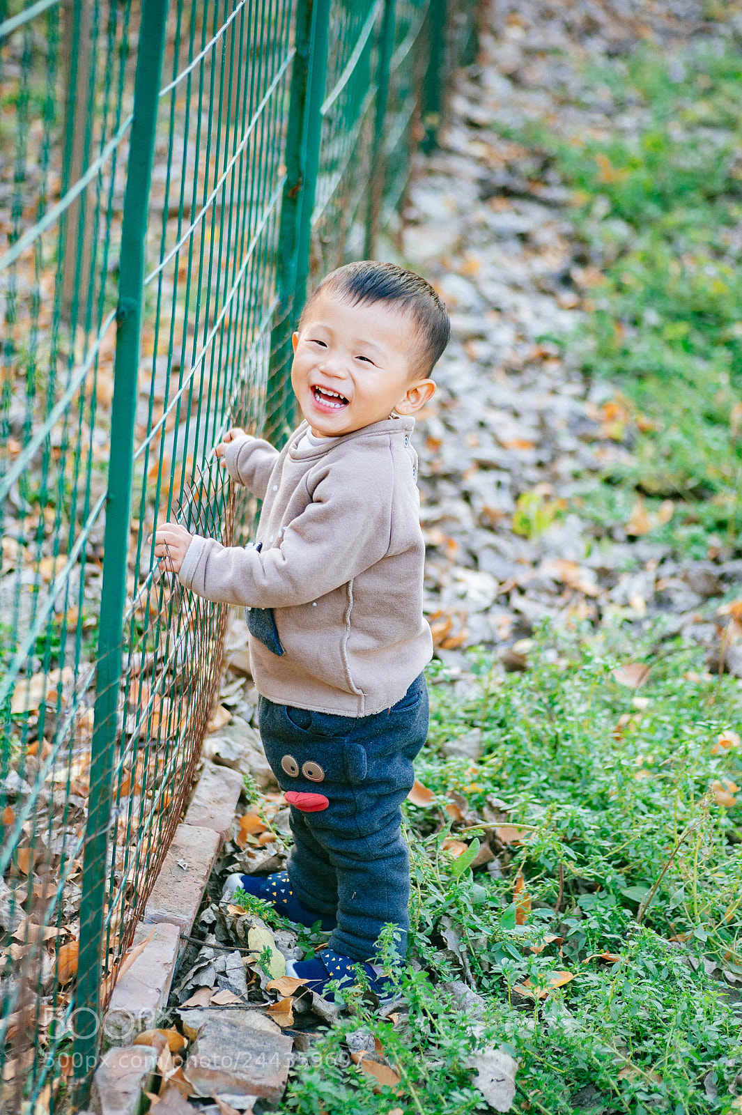 Nikon D700 sample photo. Childhood photography