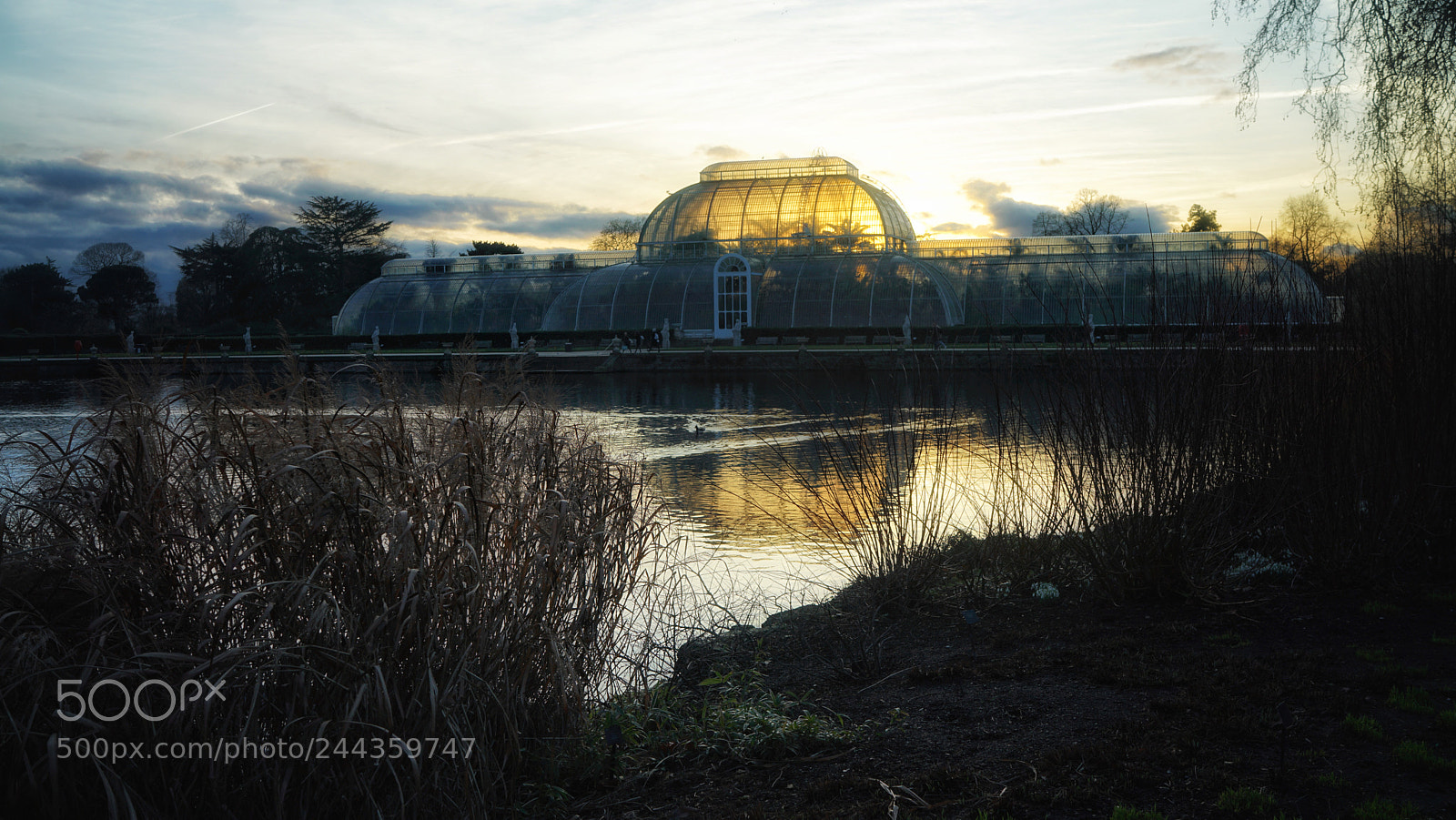 Sony a7R II sample photo. Kew garden photography