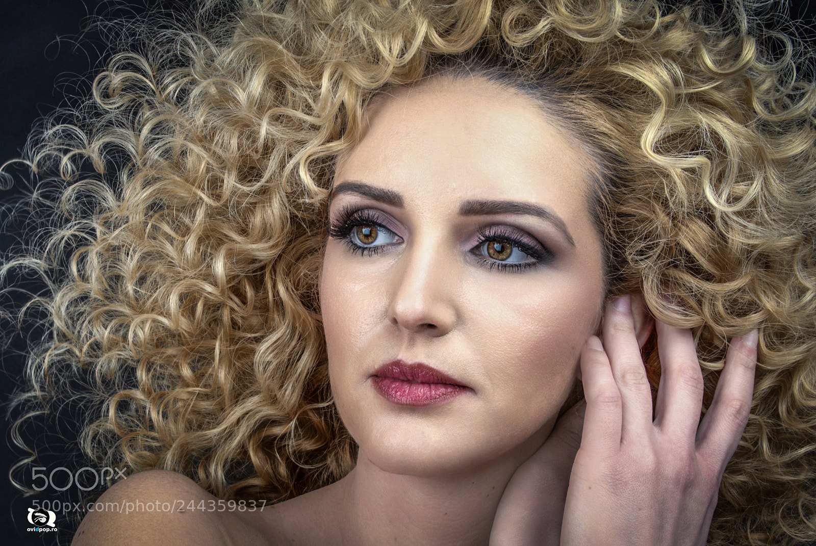 Nikon D600 sample photo. Macri 03 photography