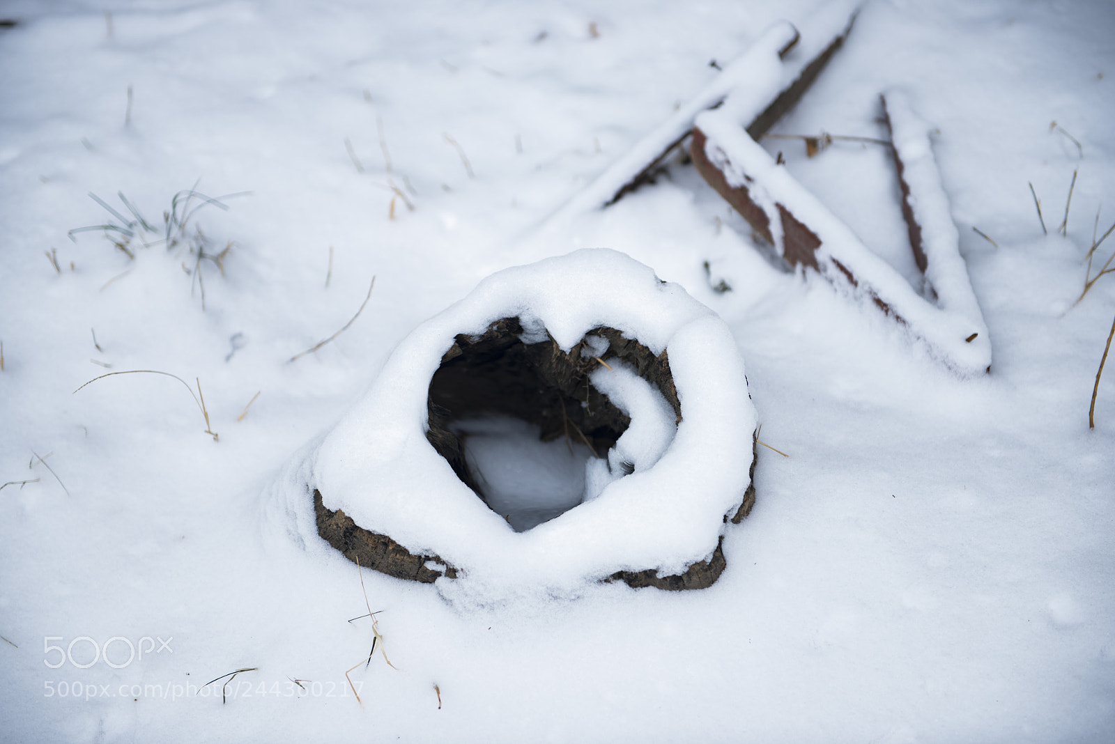 Nikon D800 sample photo. 青岛雪景 photography
