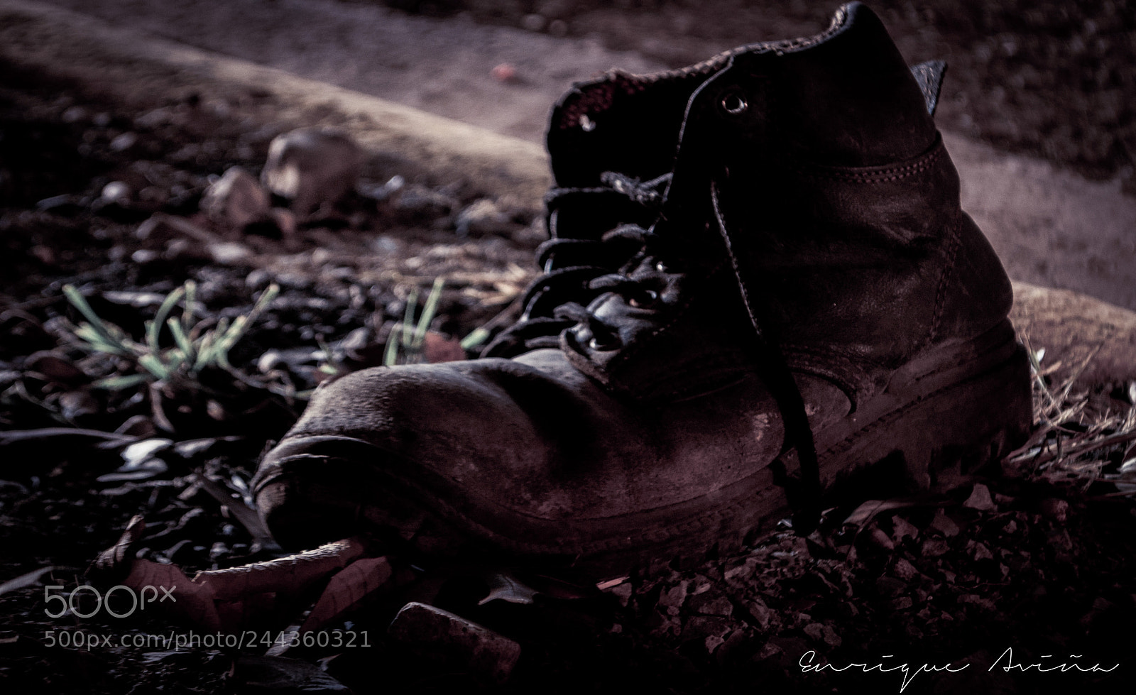 Nikon D3100 sample photo. Abandoned photography