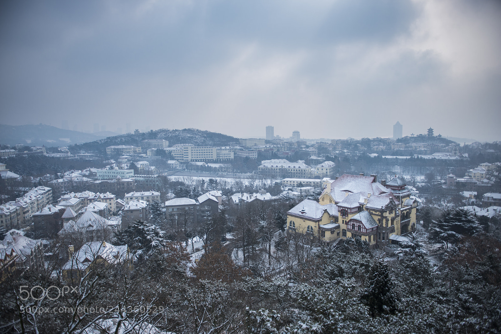Nikon D800 sample photo. 青岛雪景 photography