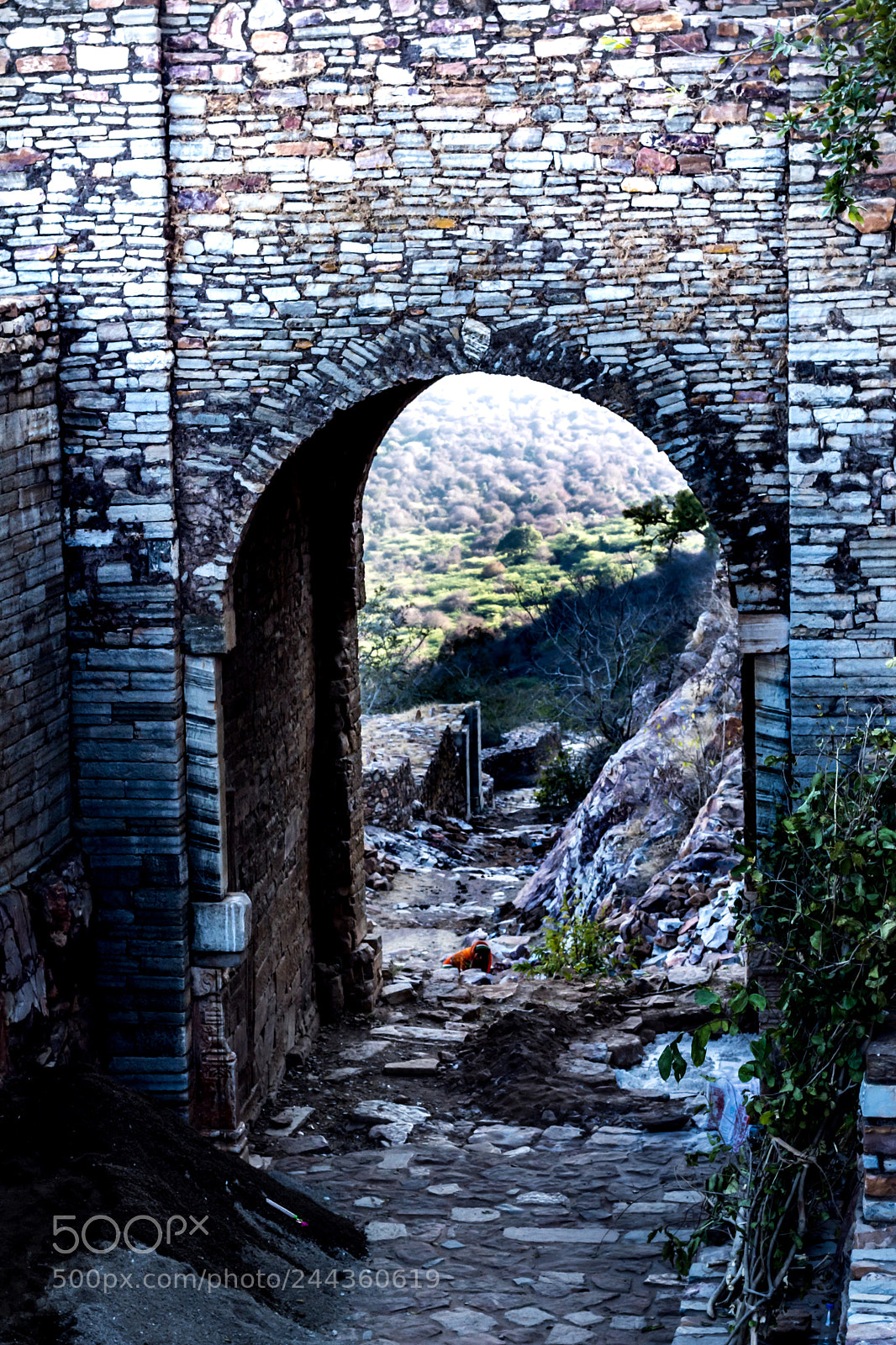 Nikon D5500 sample photo. Gate photography