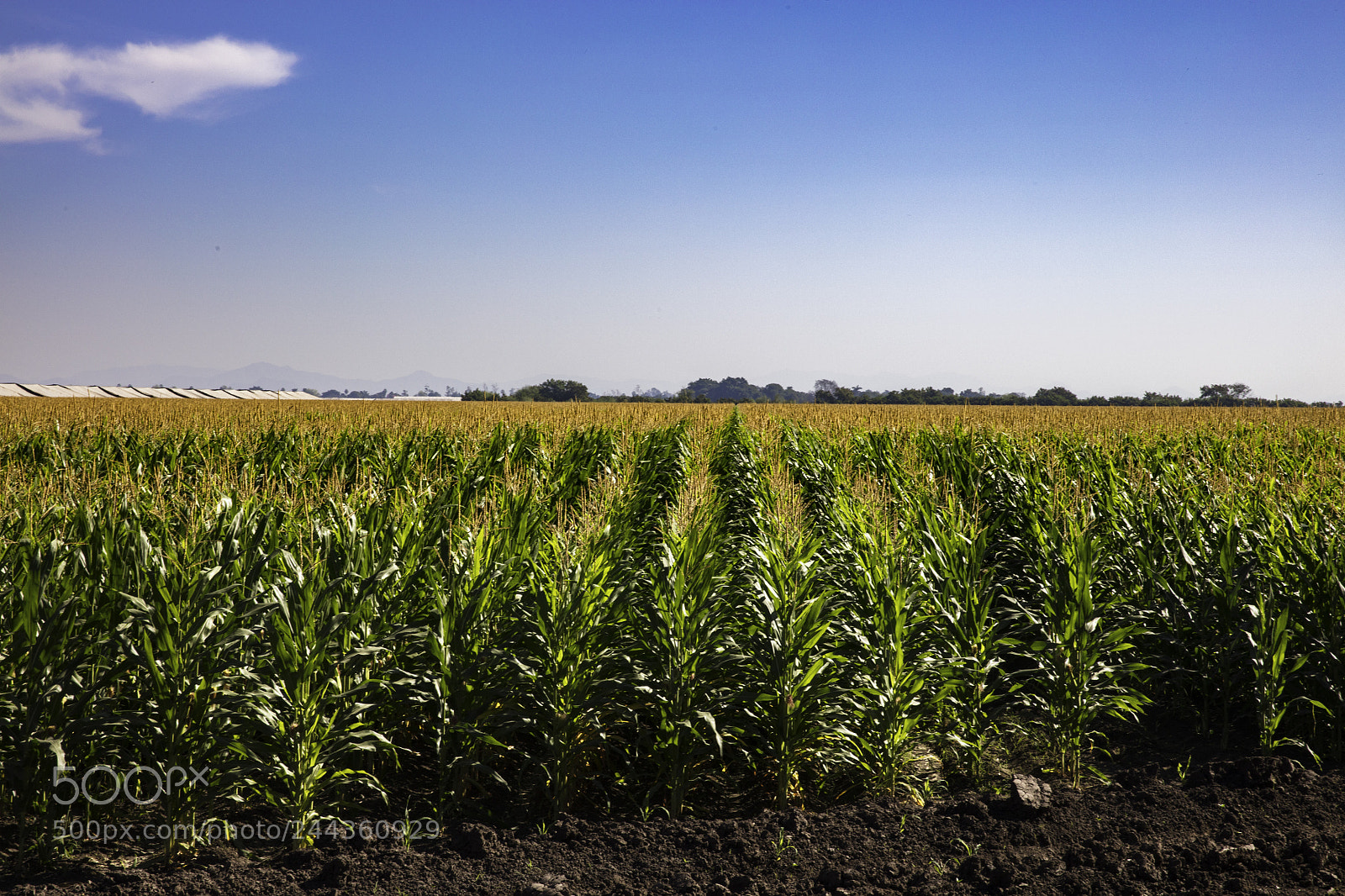 Canon EOS 5DS sample photo. Road to el fuerte photography