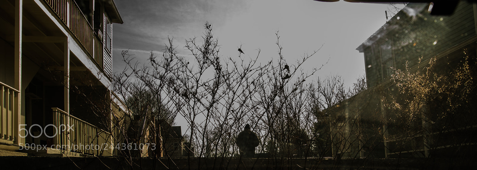 Nikon D800 sample photo. _bad8614-5.jpg photography