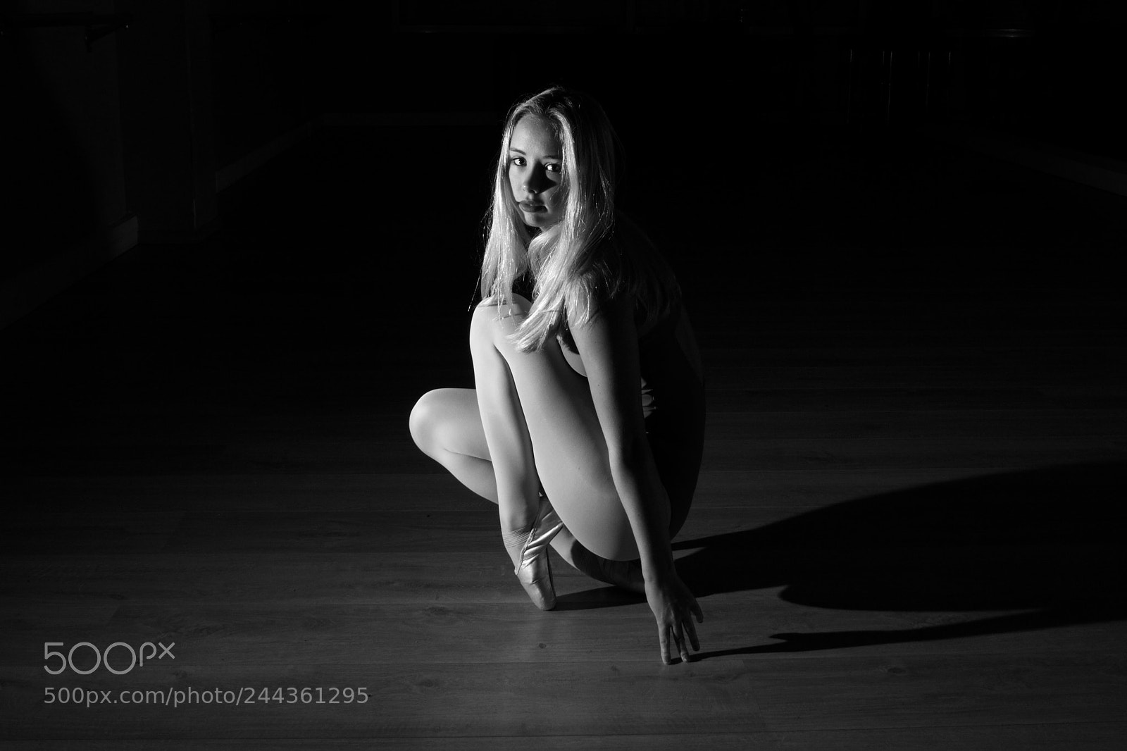 Canon EOS 650D (EOS Rebel T4i / EOS Kiss X6i) sample photo. Ballet dancer lowkey i photography