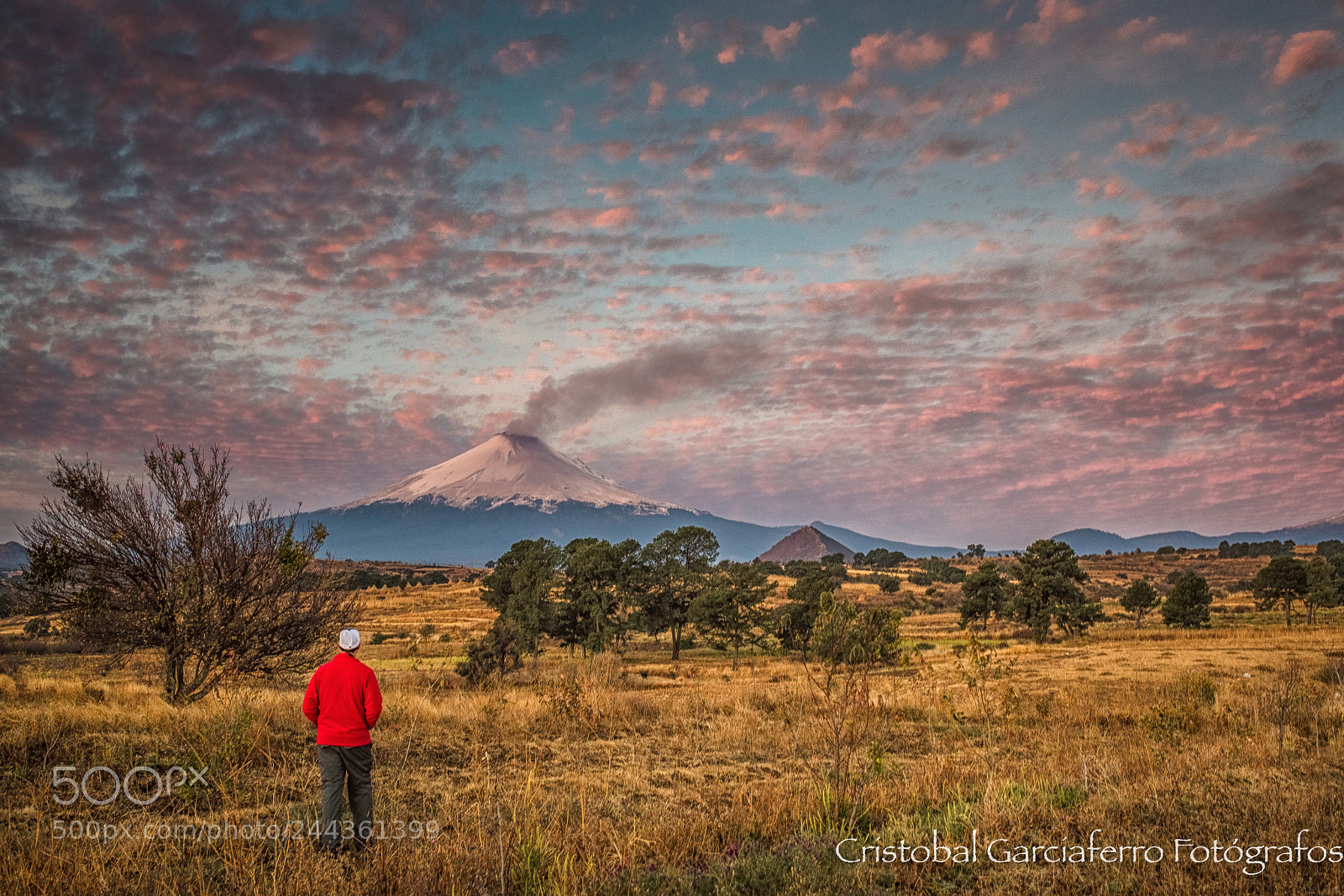 Canon EOS-1D X Mark II sample photo. Smoking volcano in the photography