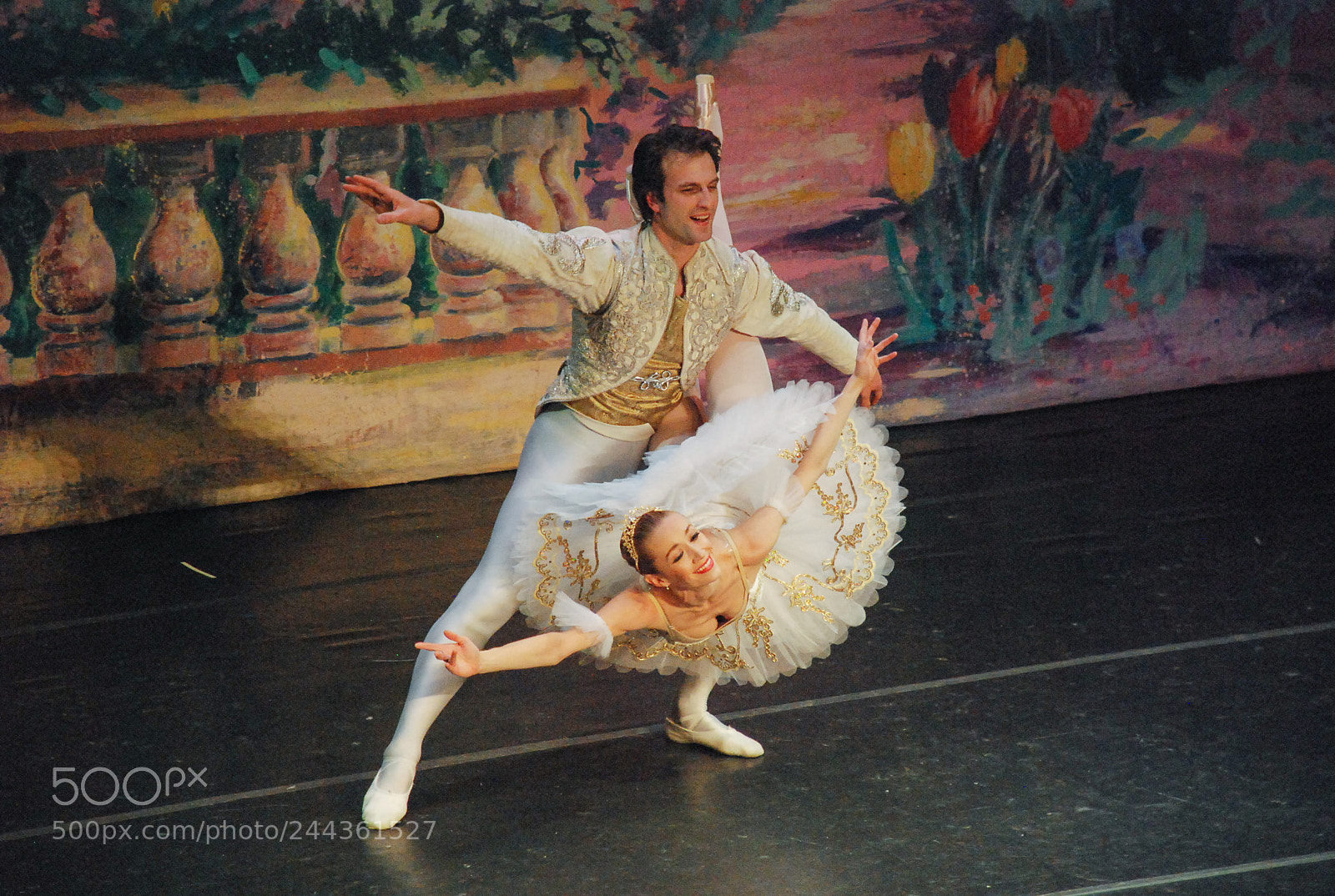 Nikon D80 sample photo. Nutcracker - grand pas photography