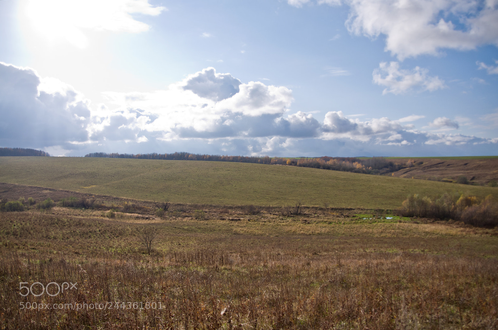 Nikon D90 sample photo. Native expanses photography