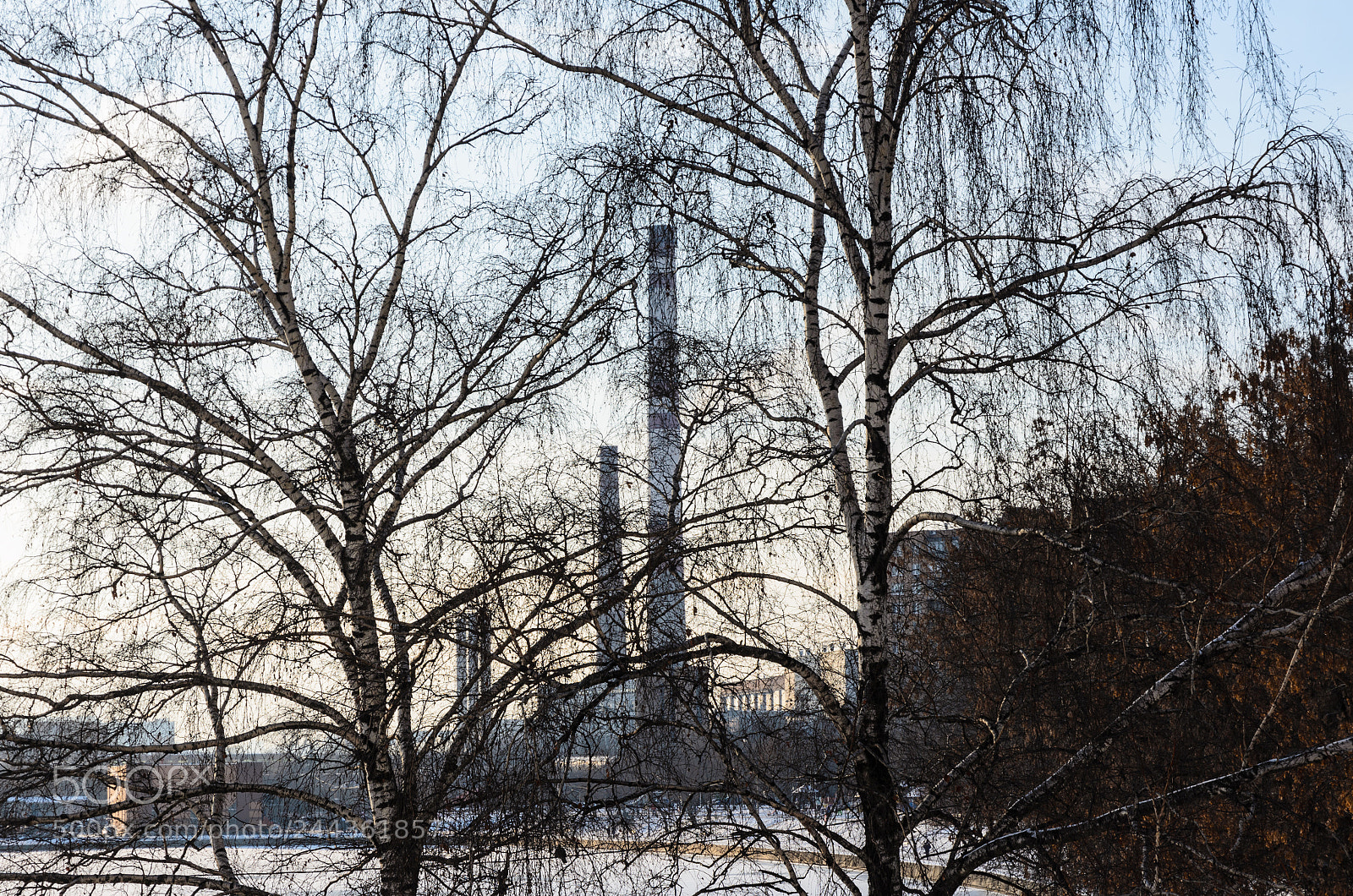Nikon D5100 sample photo. 317 photography