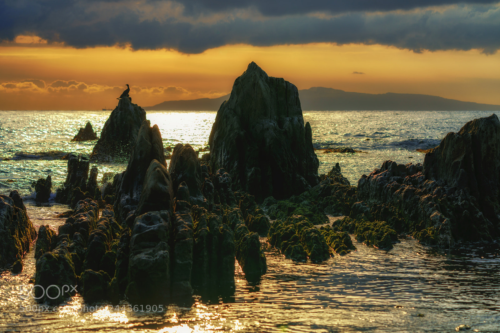 Sony a7R III sample photo. Golden sea photography