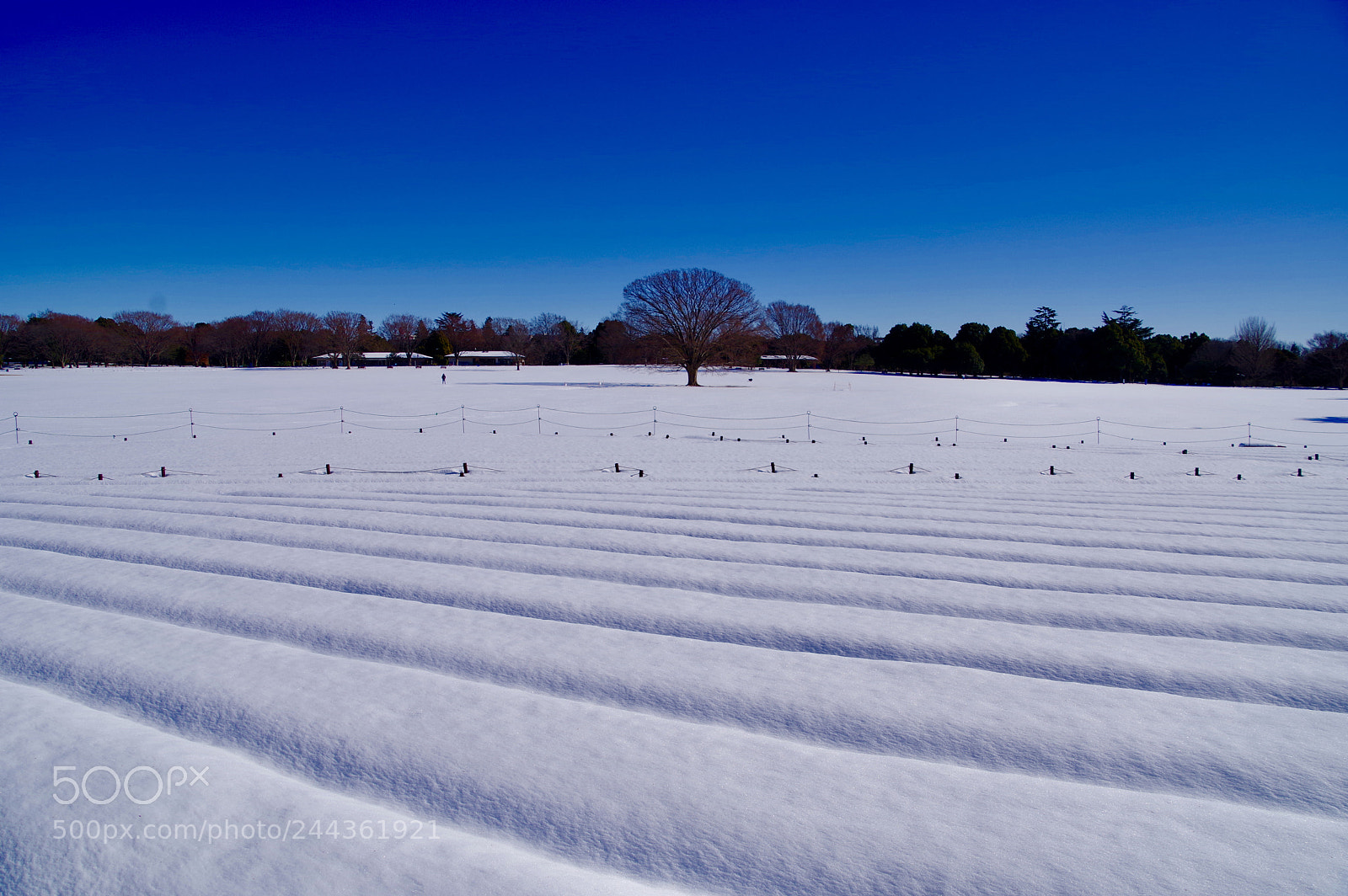 Pentax KP sample photo. Winter wonderland photography