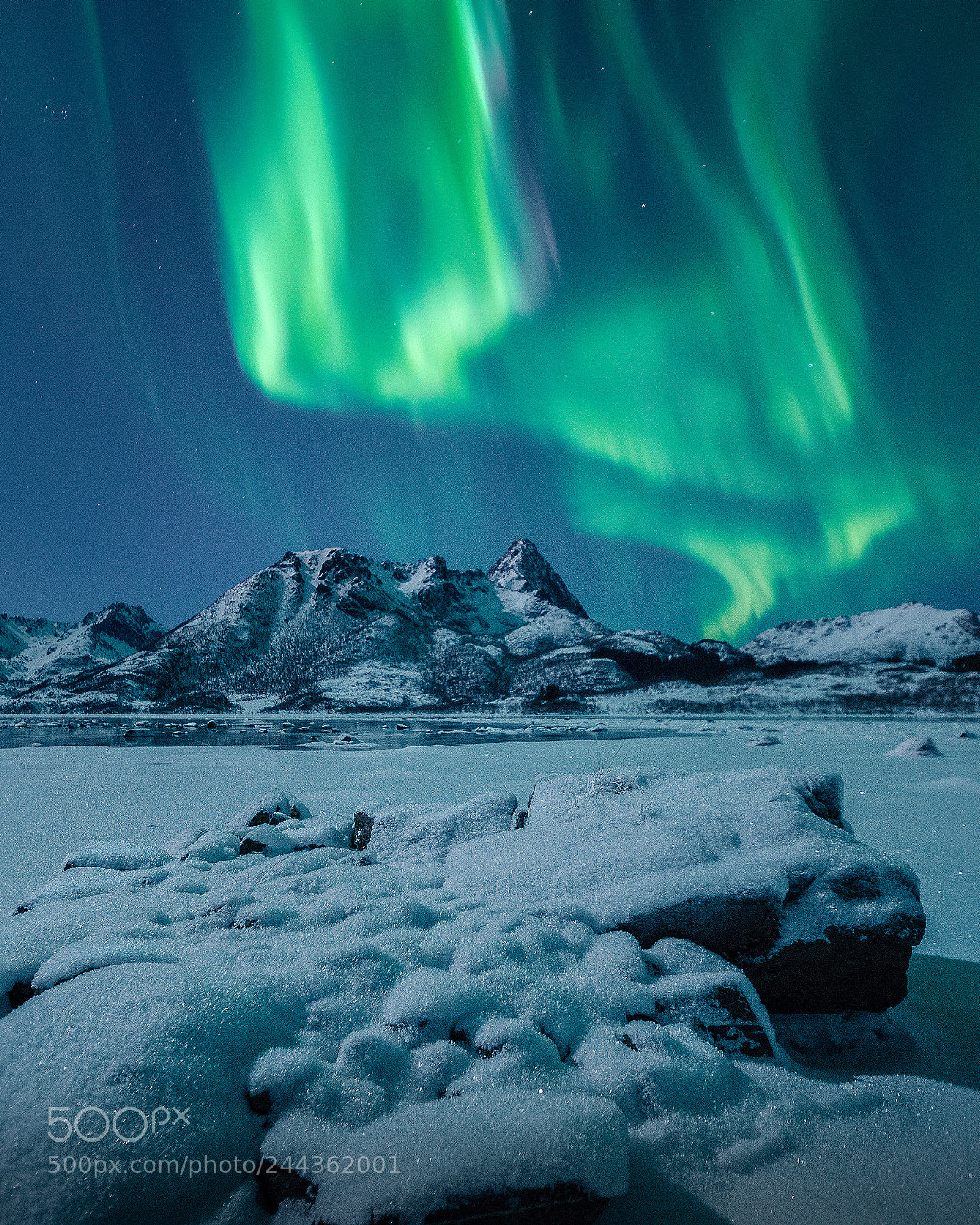 Nikon D800E sample photo. Northern lights 28.01.2018 photography