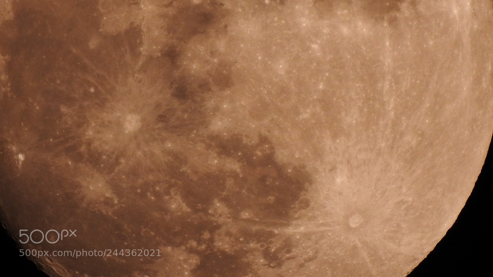 Nikon Coolpix P900 sample photo. Super blue blood moon photography
