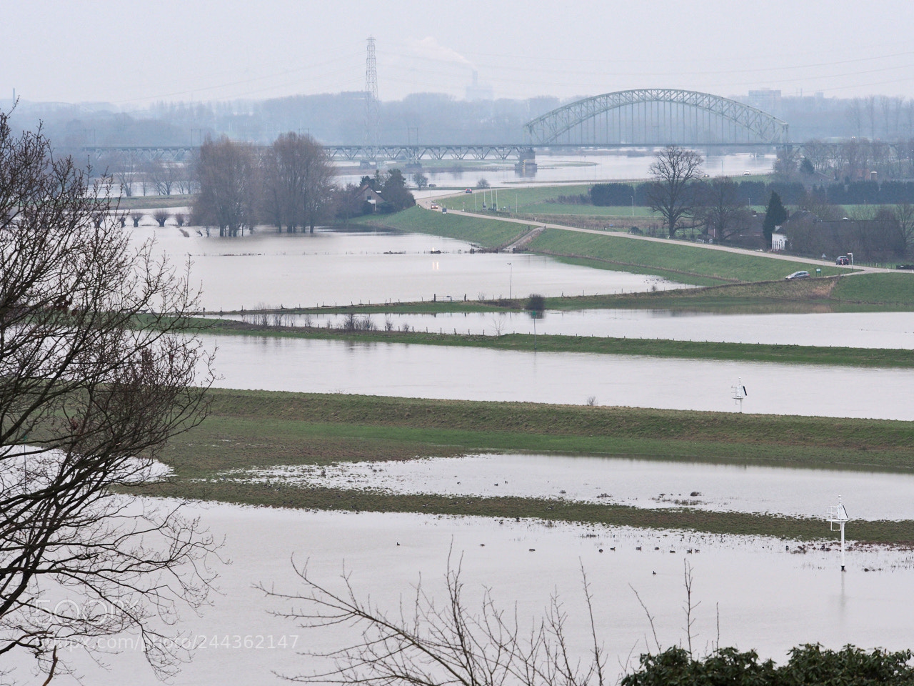 Olympus PEN E-P5 sample photo. Hoogwater op de rijn photography