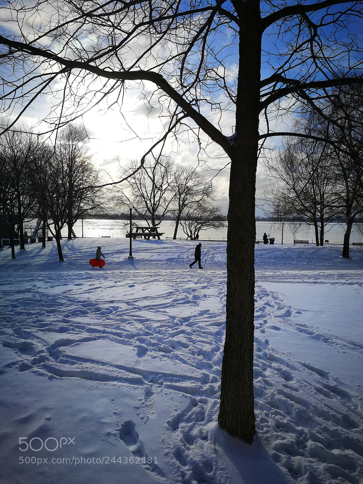 HUAWEI P10 sample photo. After 5 cm snowfall photography