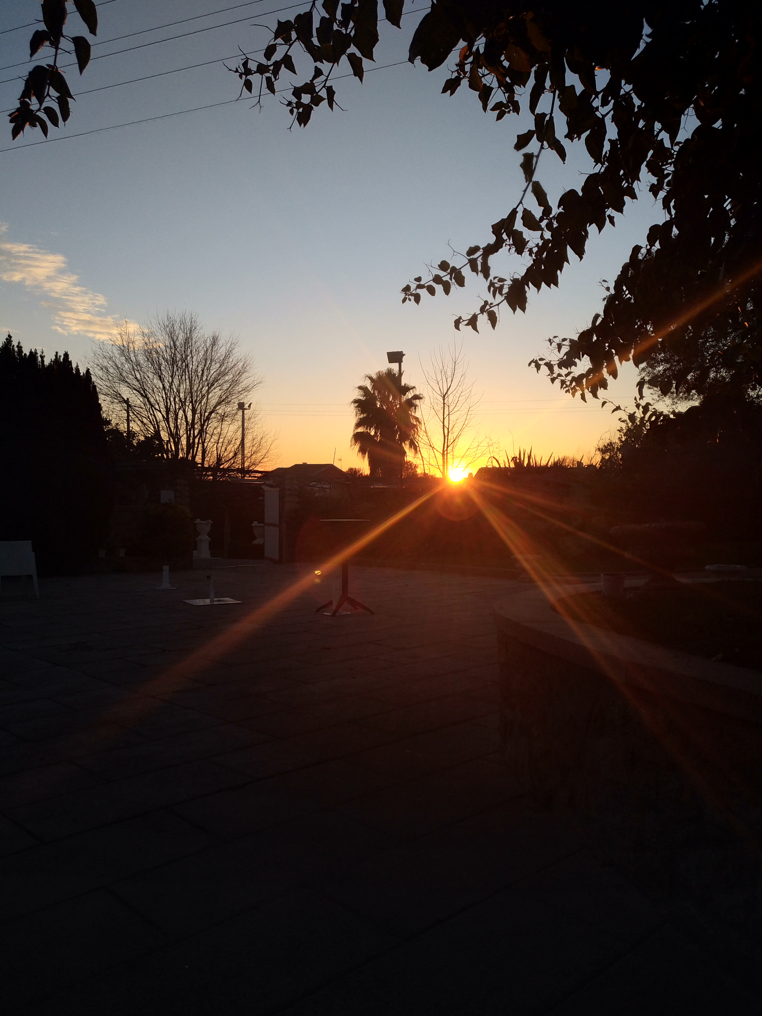 ASUS ZenFone 3 (ZE520KL) sample photo