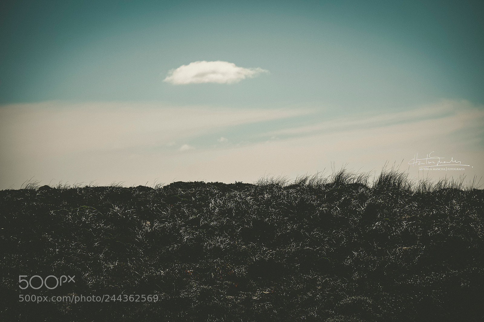Fujifilm X-T1 sample photo. Earth and sky photography