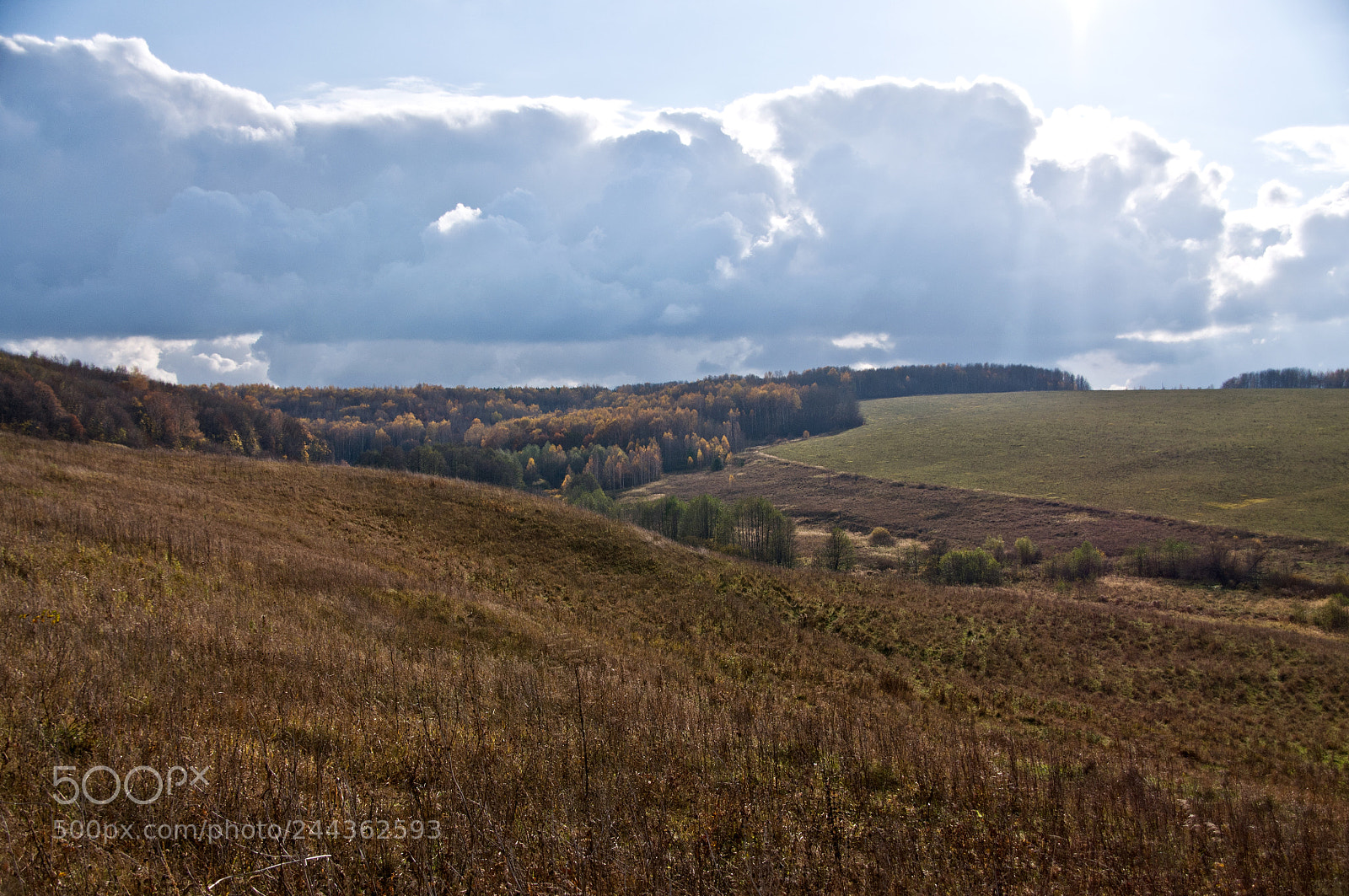 Nikon D90 sample photo. Native expanses photography