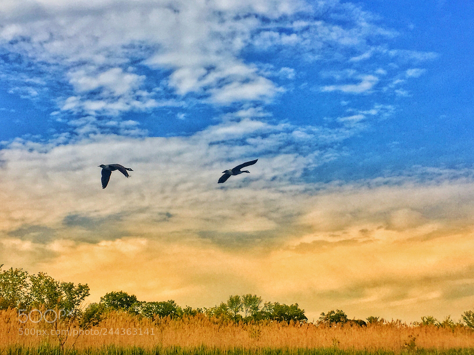 Apple iPhone 6 sample photo. “flying towards the horizon” photography