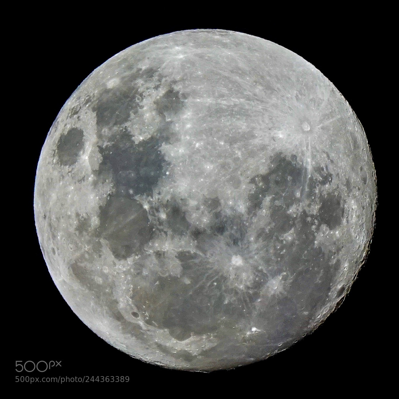Sony a7R II sample photo. A day before supermoon photography